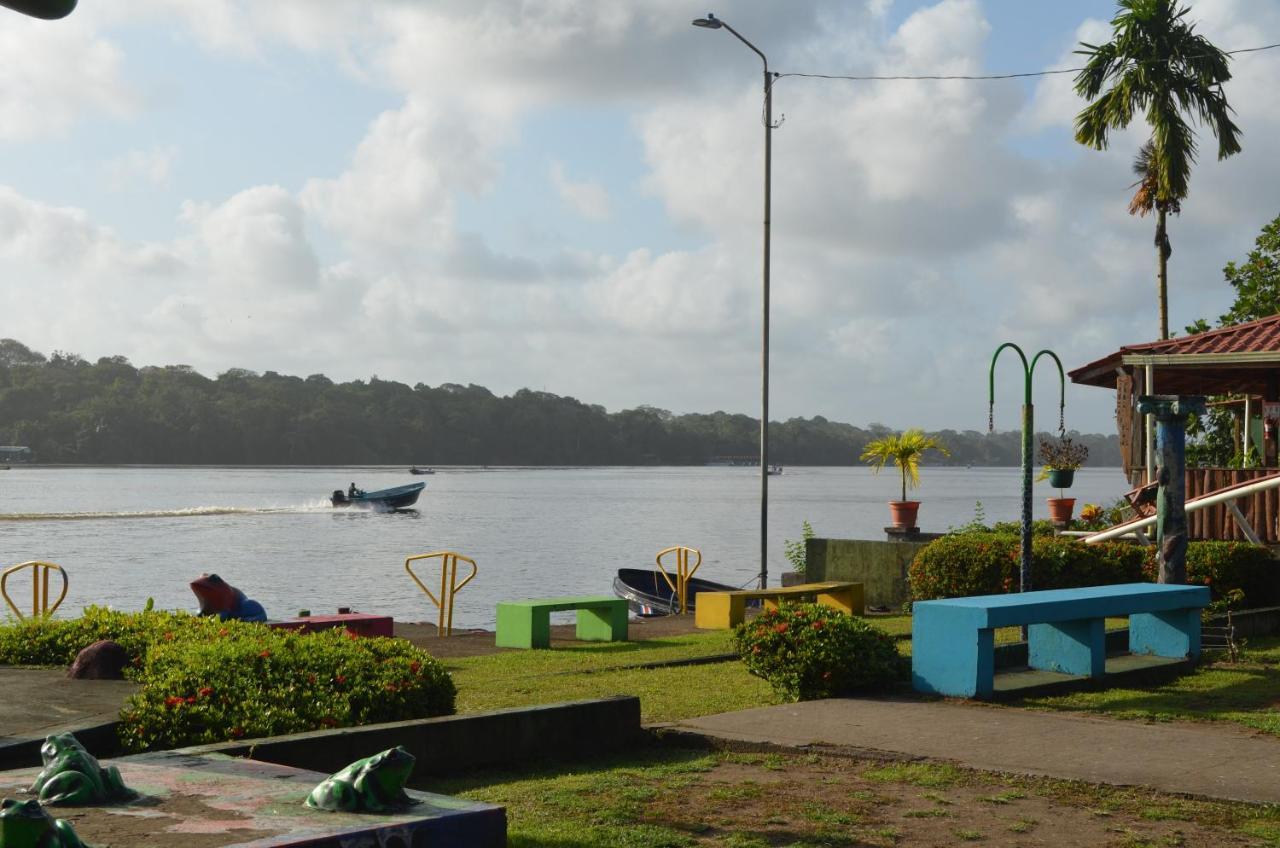 Hotel Pura Natura Riverside Tortuguero Exterior photo