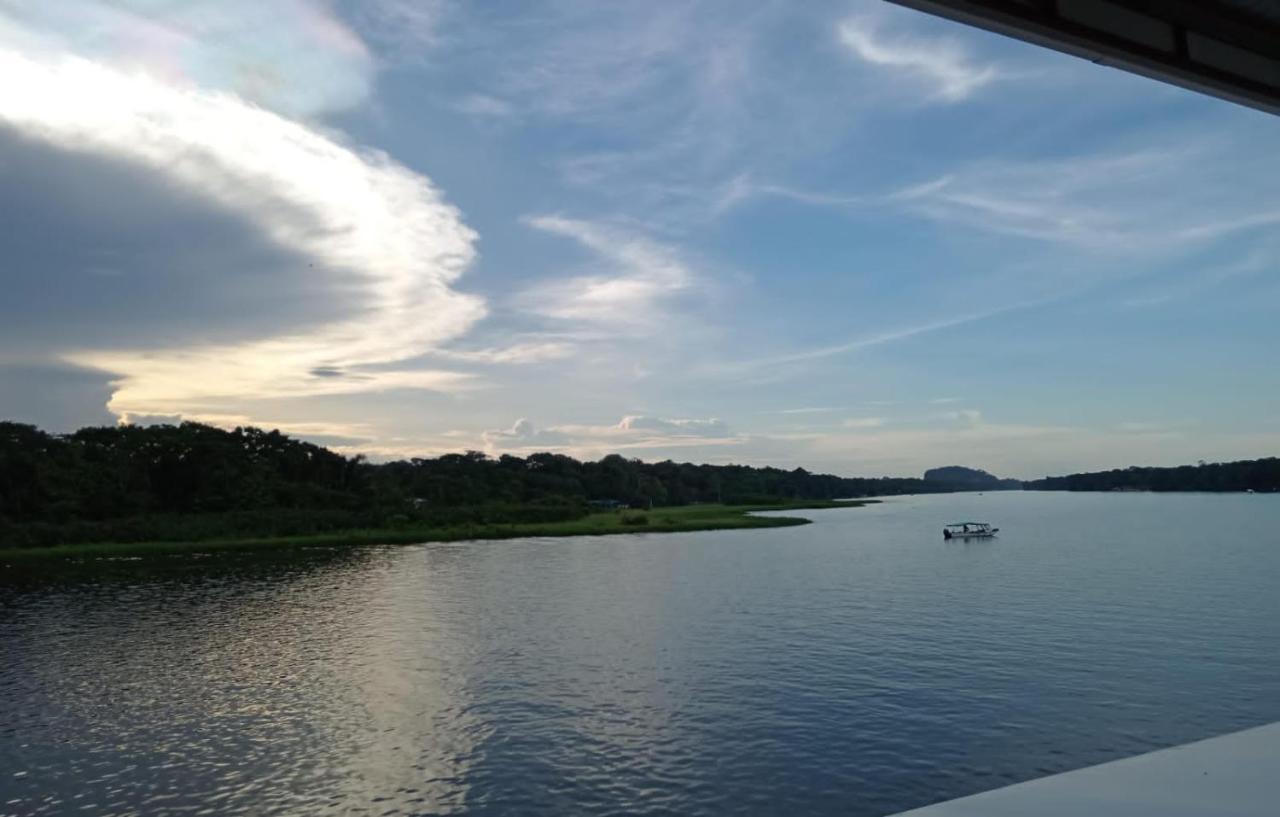 Hotel Pura Natura Riverside Tortuguero Exterior photo